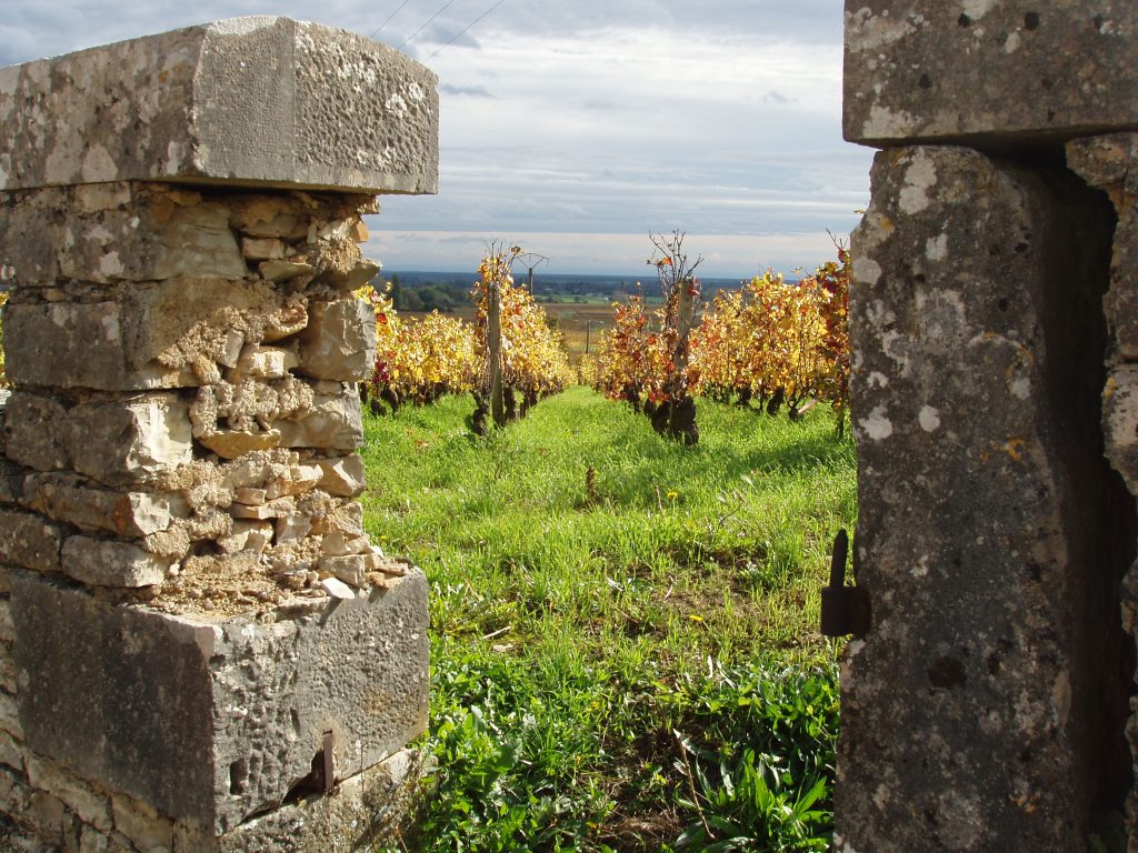 Distillati di sapienza – Ma che cos’è un terroir?