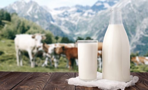 Il latte fresco: natura o cultura?